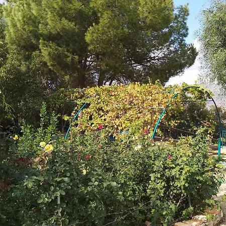 הבית ליד הבוסתן דירה לזוג Mikhmannim Exterior photo