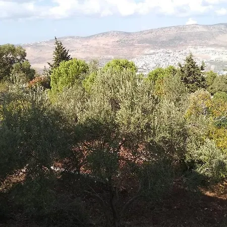 הבית ליד הבוסתן דירה לזוג Mikhmannim Exterior photo