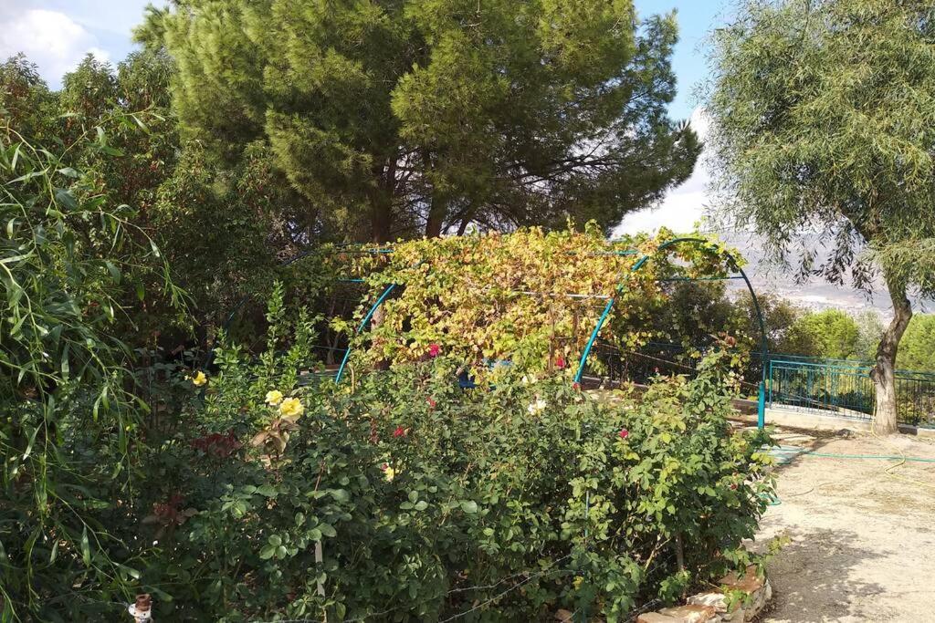 Apartment הבית ליד הבוסתן דירה לזוג *
