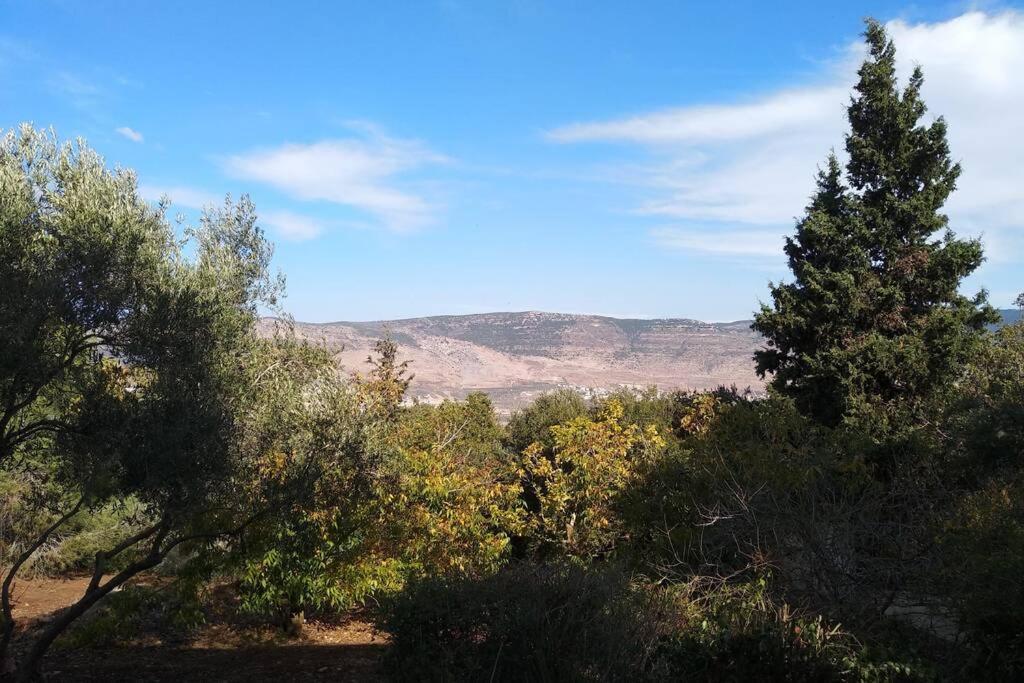 Apartment הבית ליד הבוסתן דירה לזוג Mikhmannim