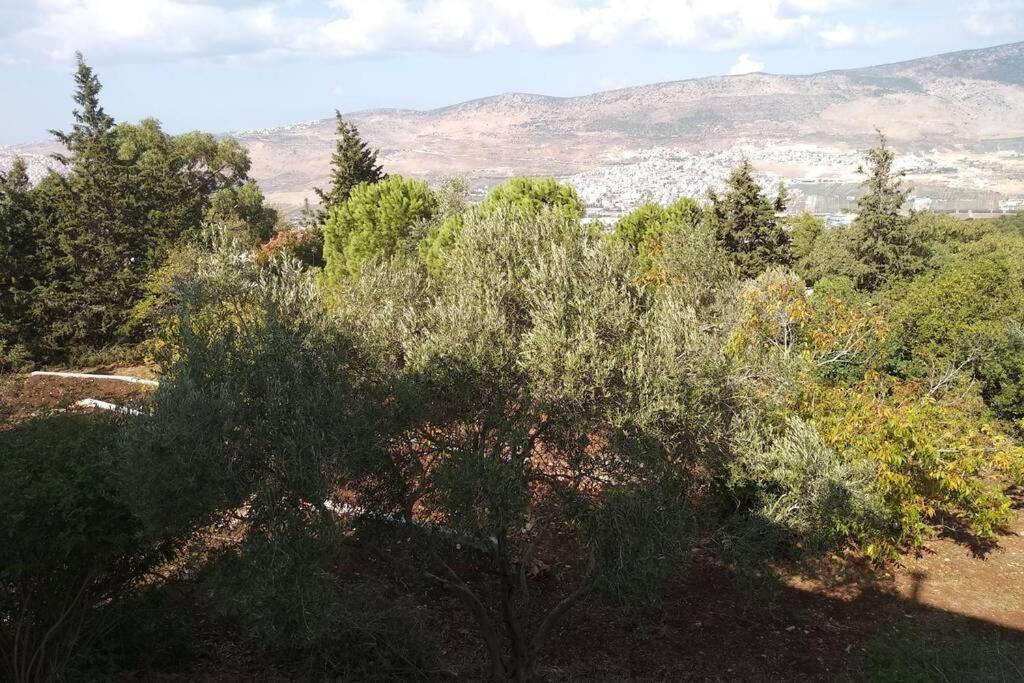 הבית ליד הבוסתן דירה לזוג Mikhmannim